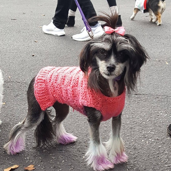 Feel free to make offers. - Picture 2 of 4